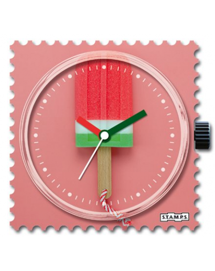 Boitier Montre STAMPS Frozy...