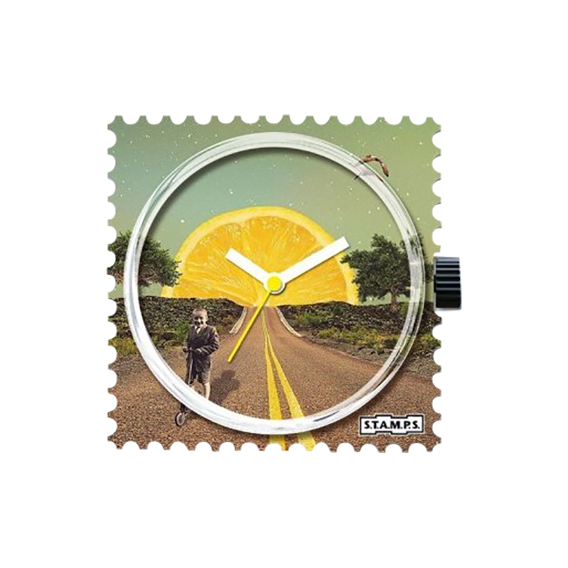 Boitier Montre STAMPS 104648 Lemon Road Boitier Montre STAMPS 104648 Lemon Road