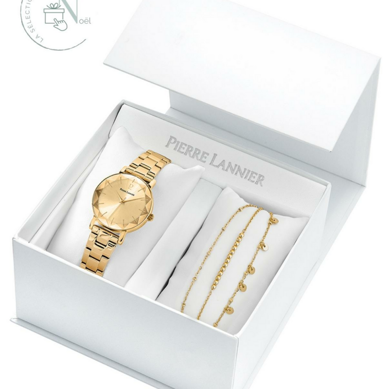 Coffret Pierre Lannier Femme Multiples Acier Doré 351H542 Coffret Pierre Lannier Femme Multiples Acier Doré 351H542