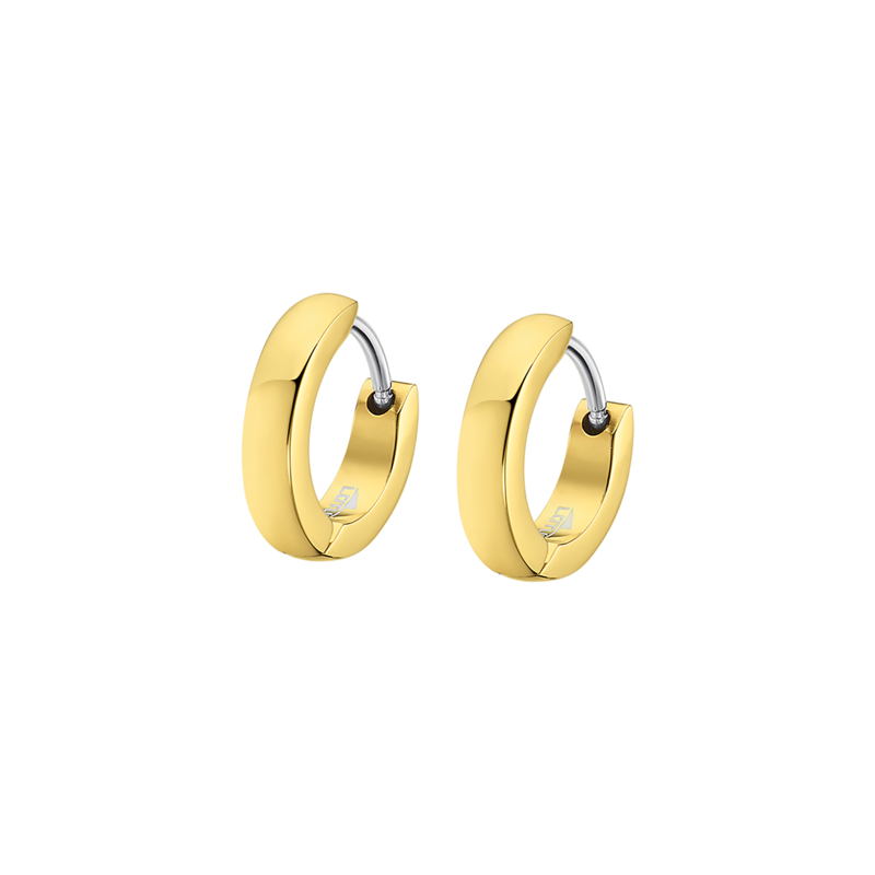 Lotus Style Boucles D'Oreilles Homme Acier Doré LS2226-4/1